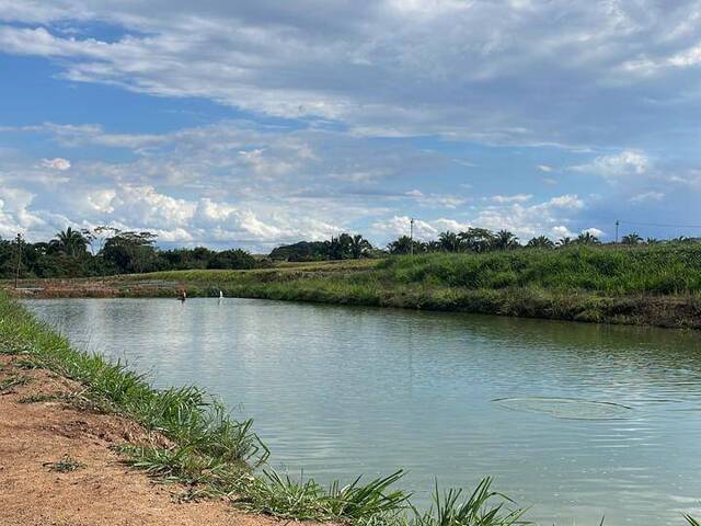 #100 - Fazenda para Venda em Cuiabá - MT